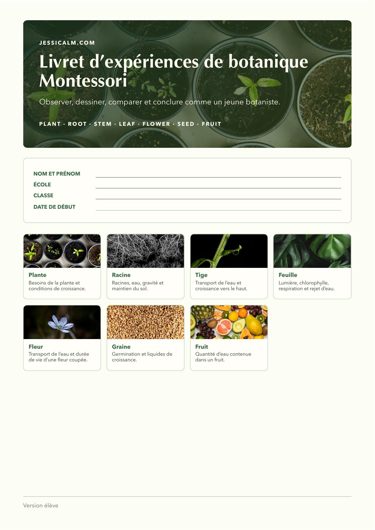 Montessori Botany Experiments